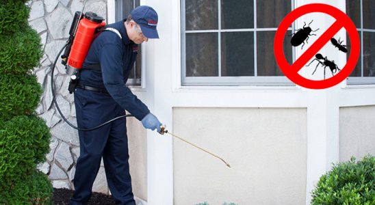Akdağmadeni Dezenfeksiyon böcek ilaçlama ve haşere kontrolü — ilaclama-tr.com